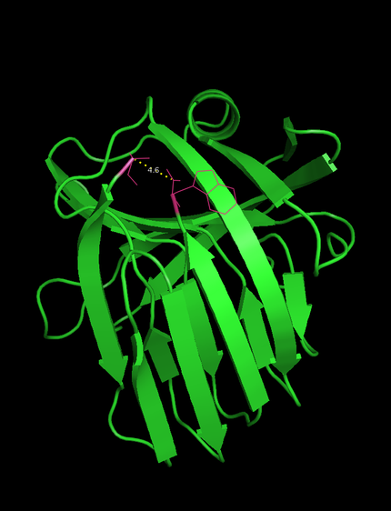 Fig. 1 3D Structure of Xylanase
