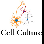 Cell Culture Logo.jpg