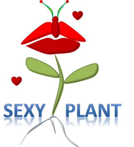 Figure 5. Sexy Plant