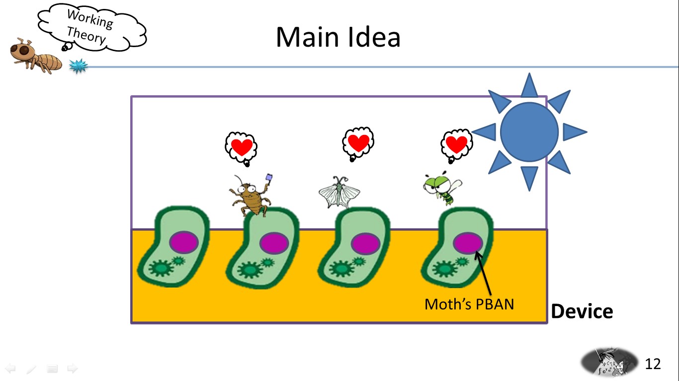 PBAN mechanism-2.jpg