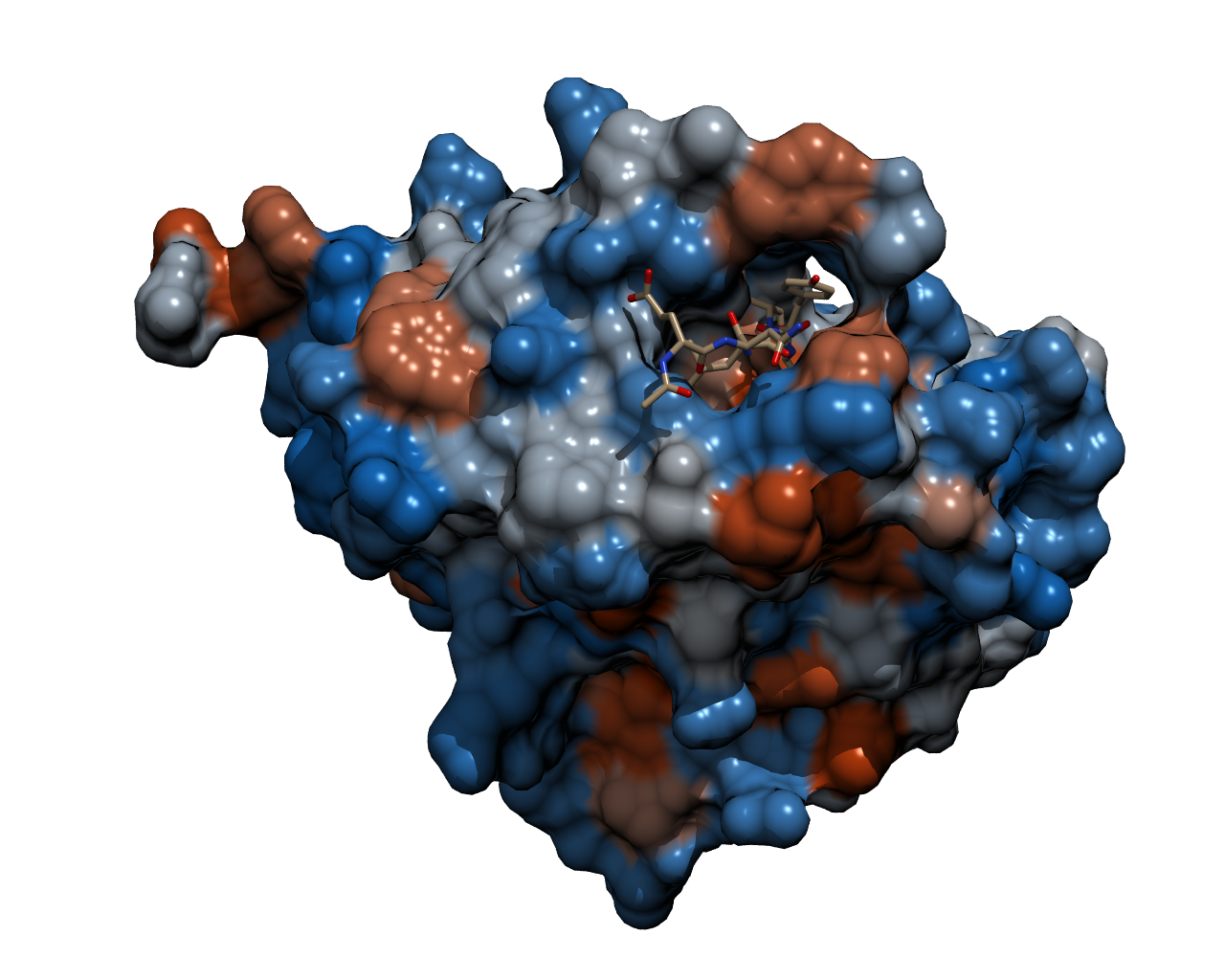 Aachen TEV Protease Model.png