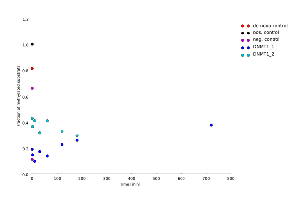 Figure 8B) Quantification of linear mDNMT1 <i>de novo</i> methylation activity