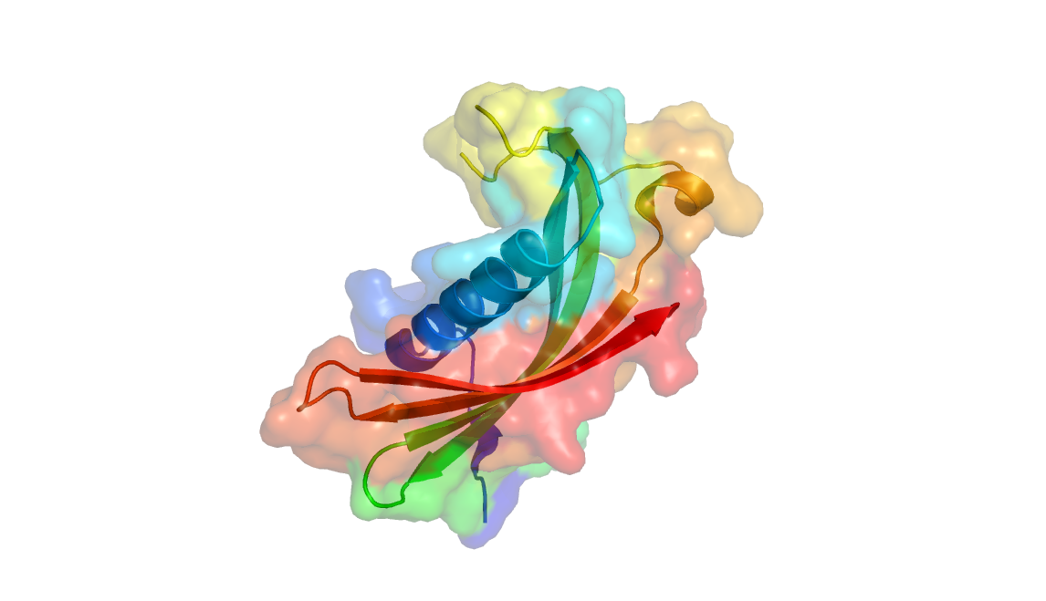 Crystal structure of human cystatin C.png