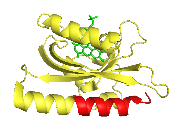 Figure 1) Crystal structure of the <i>As</i> LOV2 domain in its light-induced state.