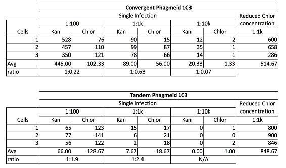 UCB-phage lab7-19-141012.jpg