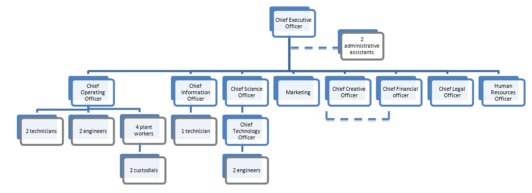 Cto Organization Chart
