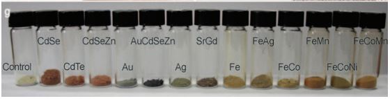 1 Multicolored freeze-dried E. coli cells containing a variety of nanoparticles according to Park et al.JPG