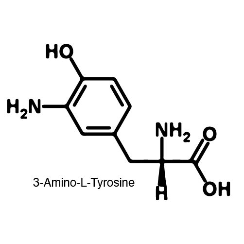 Amino tyrosine structure.jpg