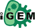 2014-iGEM-site-Igem-logo.png