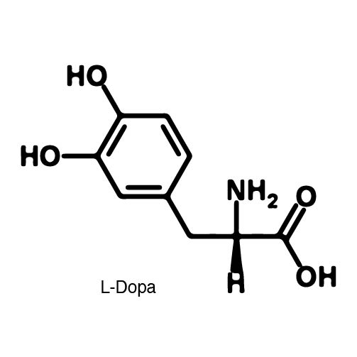 L DOPA structure.jpg