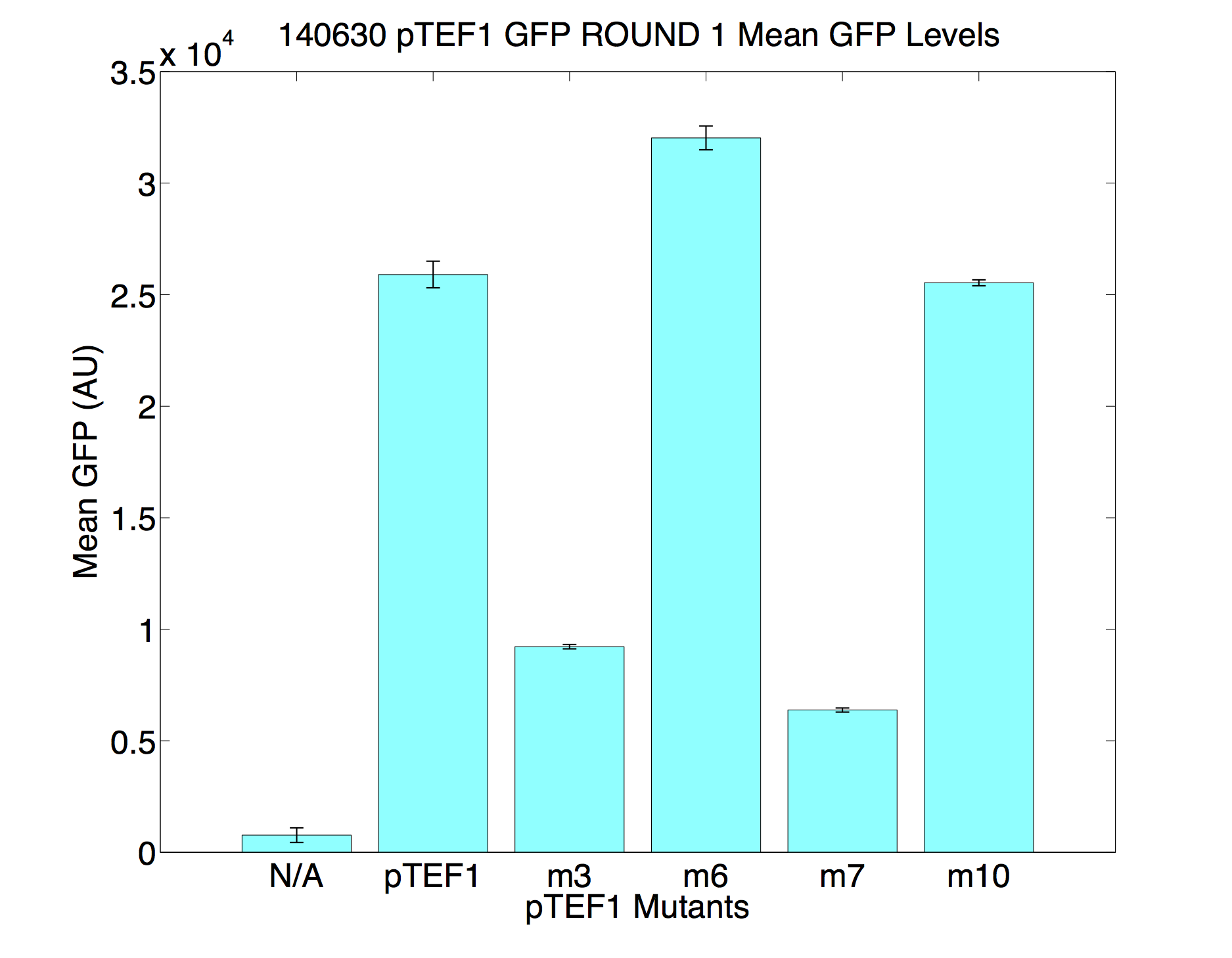 140630 pTEF1 GFP ROUND 1.png