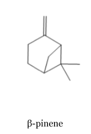 Paris Saclay project-odor-pinene.png